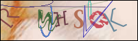 Registration Image