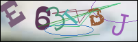 Registration Image