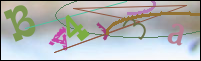 Registration Image