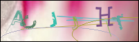 Registration Image