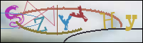 Registration Image