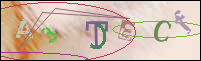 Registration Image