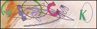 Registration Image