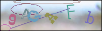 Registration Image