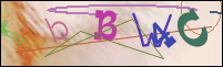 Registration Image