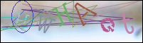 Registration Image