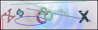 Registration Image