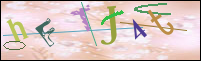 Registration Image