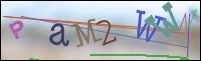 Registration Image