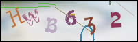 Registration Image