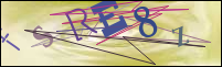Registration Image