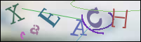 Registration Image