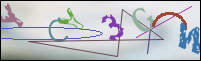 Registration Image