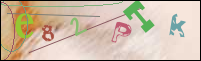 Registration Image