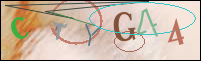 Registration Image