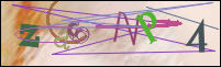 Registration Image