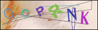 Registration Image