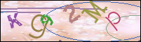 Registration Image