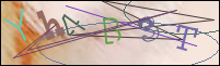 Registration Image