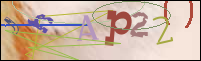 Registration Image