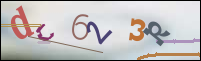Registration Image