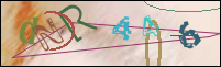 Registration Image