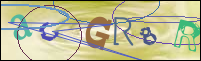 Registration Image