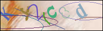 Registration Image