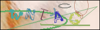 Registration Image