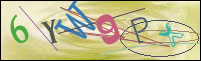 Registration Image