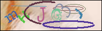 Registration Image