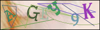Registration Image