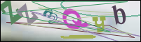 Registration Image