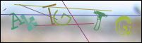 Registration Image