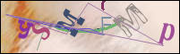 Registration Image