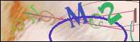 Registration Image