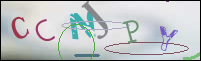 Registration Image