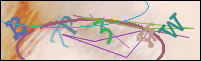 Registration Image
