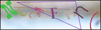 Registration Image