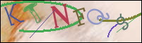 Registration Image