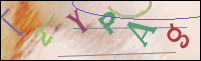 Registration Image