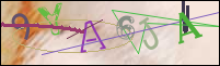 Registration Image
