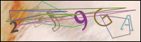 Registration Image