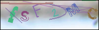 Registration Image