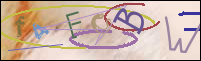 Registration Image