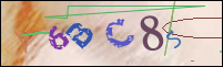 Registration Image