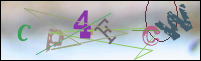Registration Image