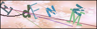 Registration Image