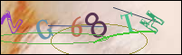 Registration Image