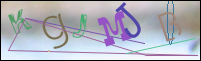 Registration Image